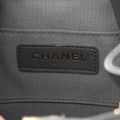Chanel Lambskin Quilted Small Duma Drawstring Backpack Grey 5 of 11
