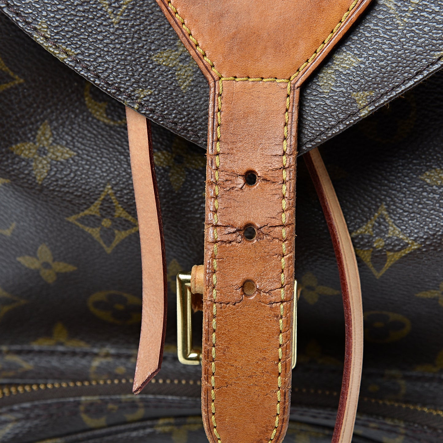Monogram Montsouris GM Backpack