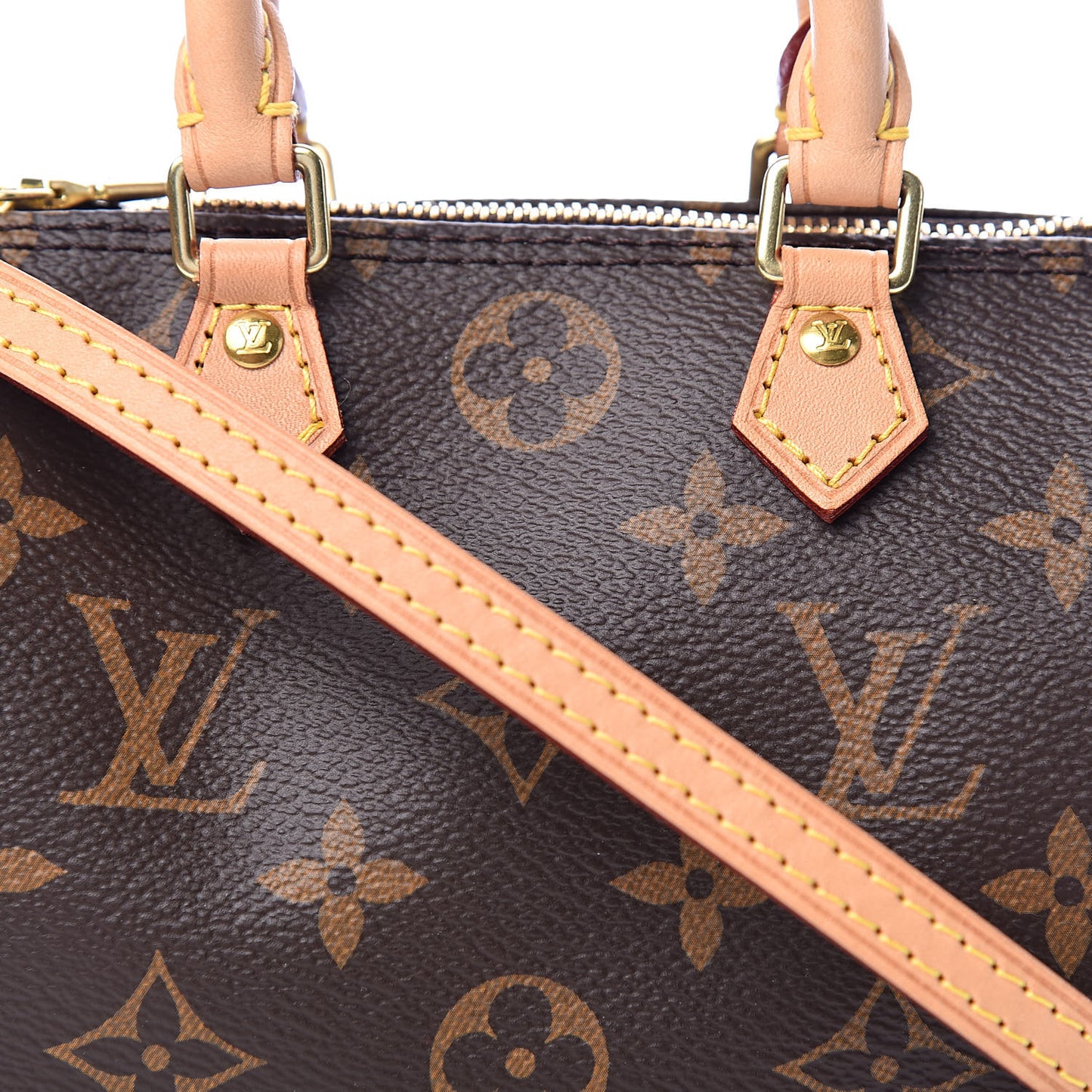 Monogram Nano Speedy