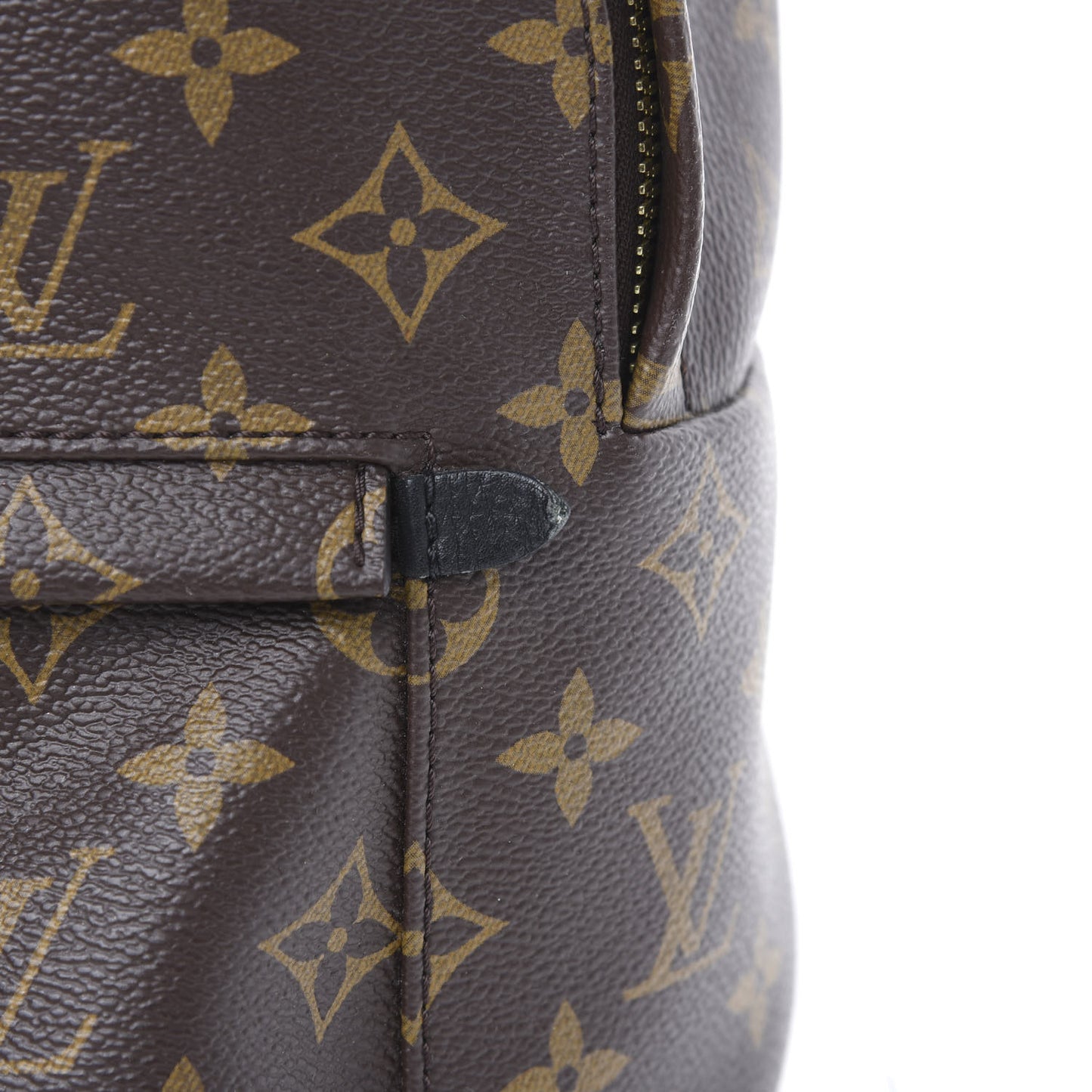 Monogram Palm Springs Backpack PM