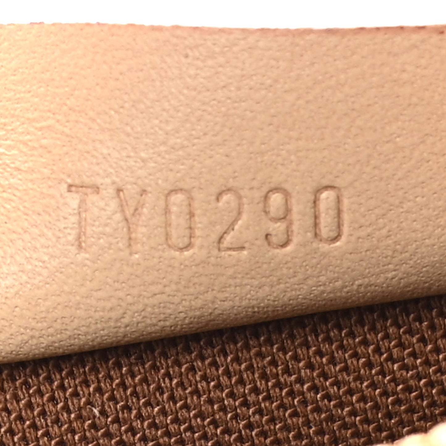 Monogram Nano Speedy