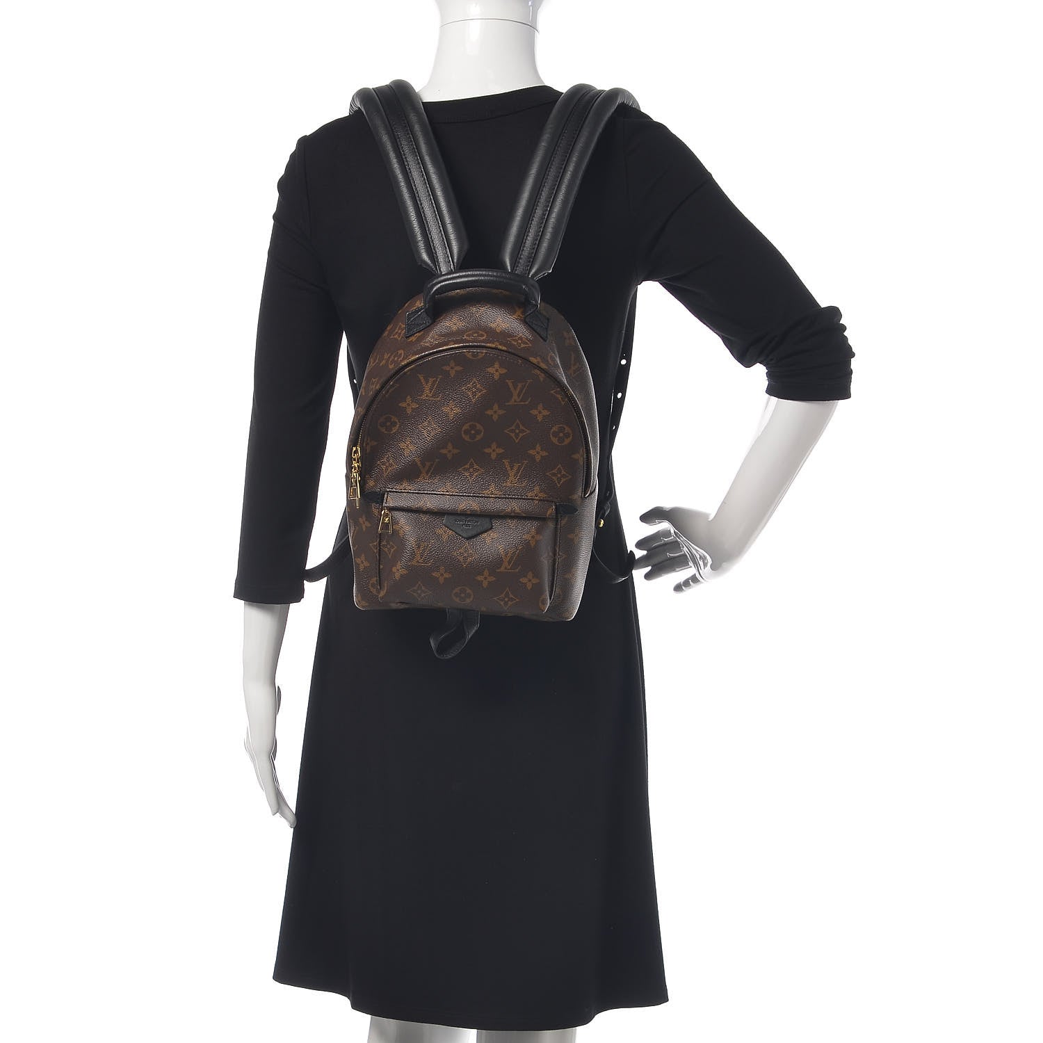 Louis Vuitton Monogram Palm Springs Backpack PM 2 of 9