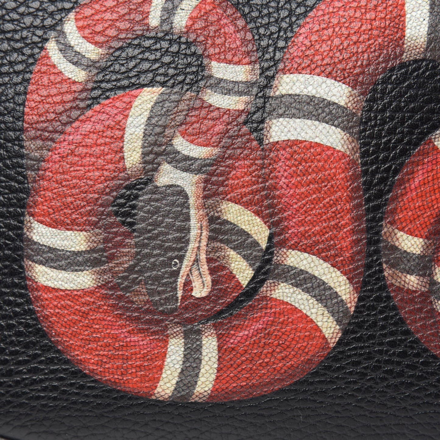 Grained Calfskin Sylvie Web Kingsnake Small Camera Bag Black Multicolor