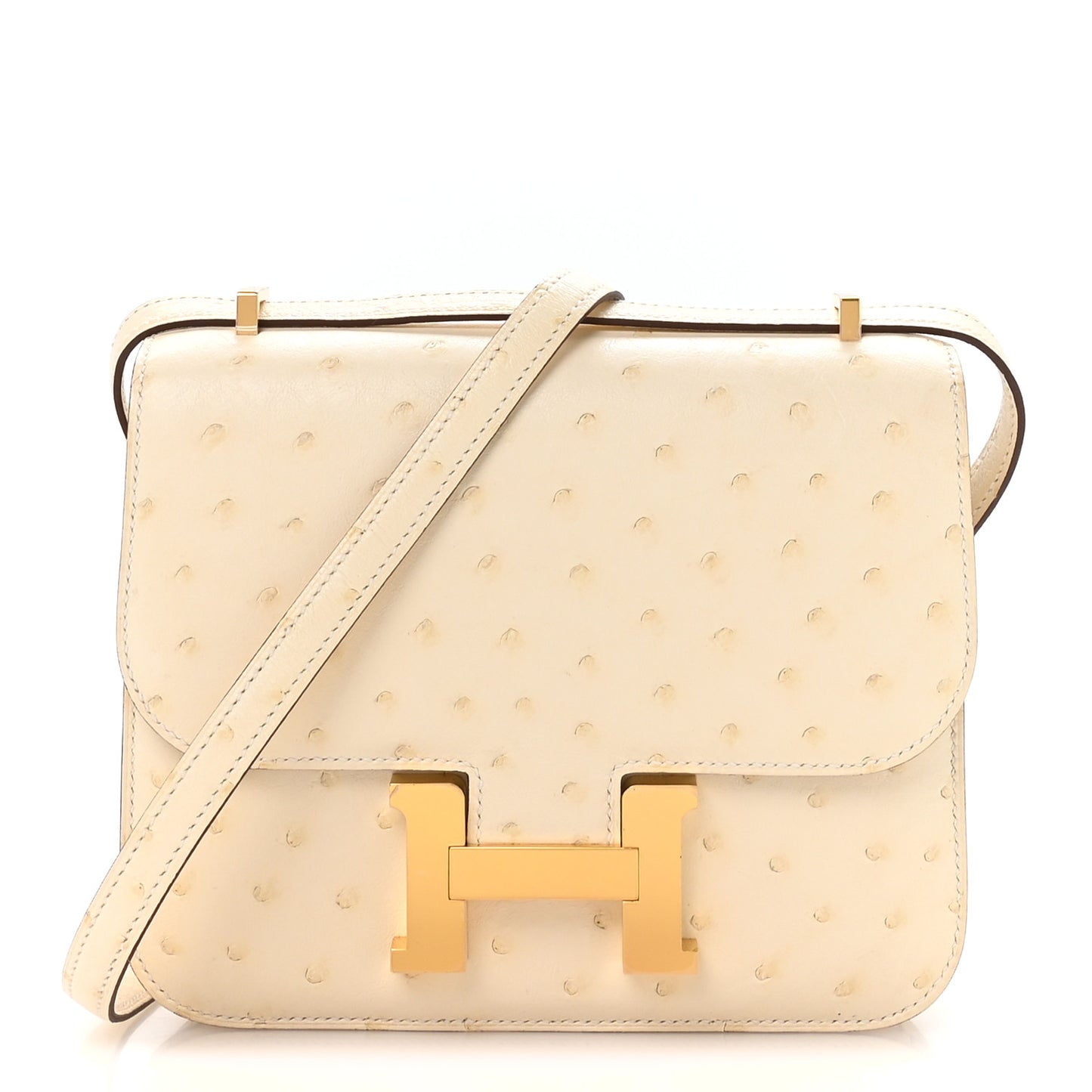 Ostrich Constance 18 Nata