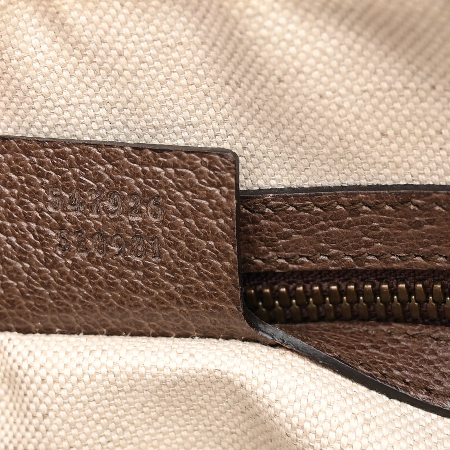 GG Supreme Monogram Web Small Ophidia Messenger Bag Brown