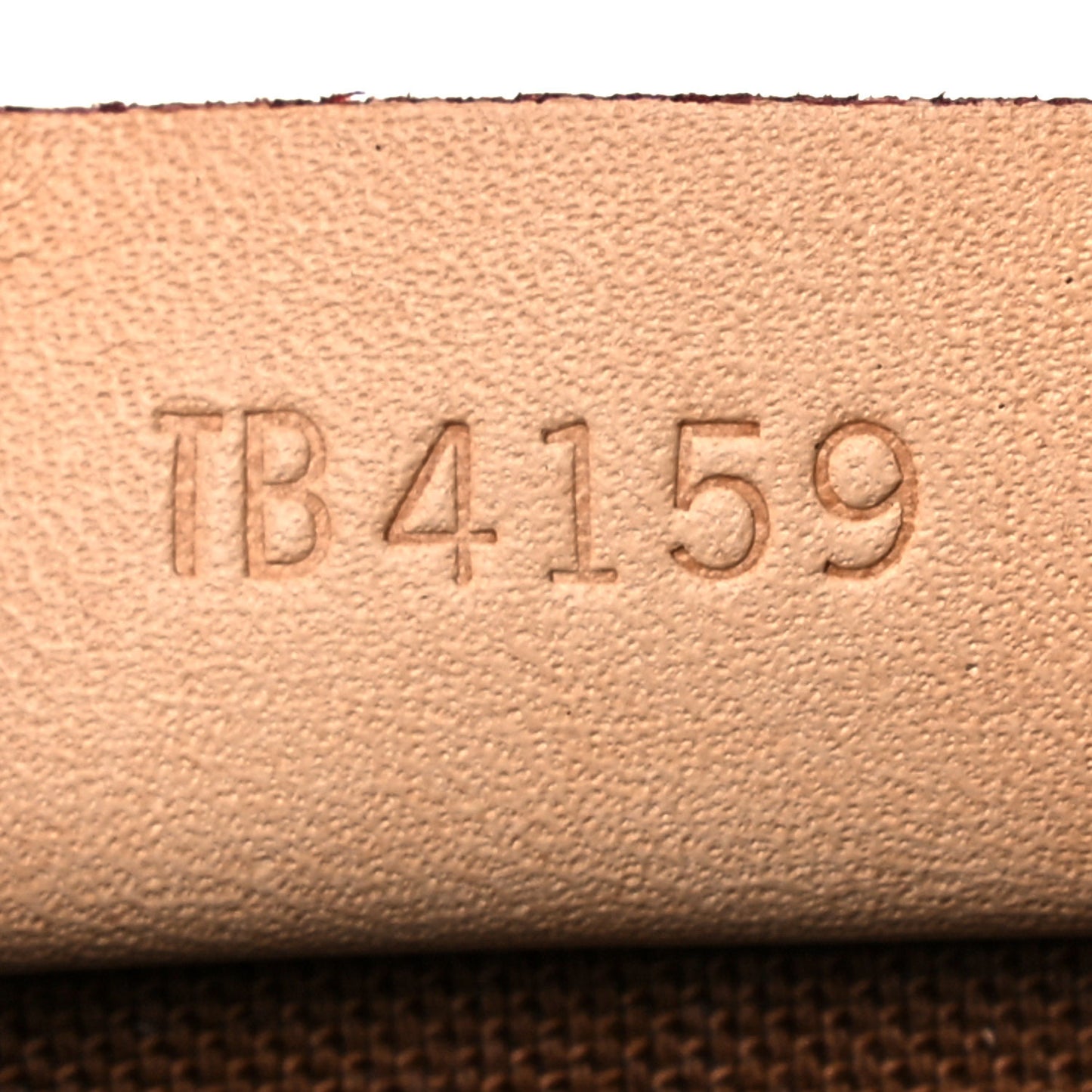 Monogram Nano Speedy