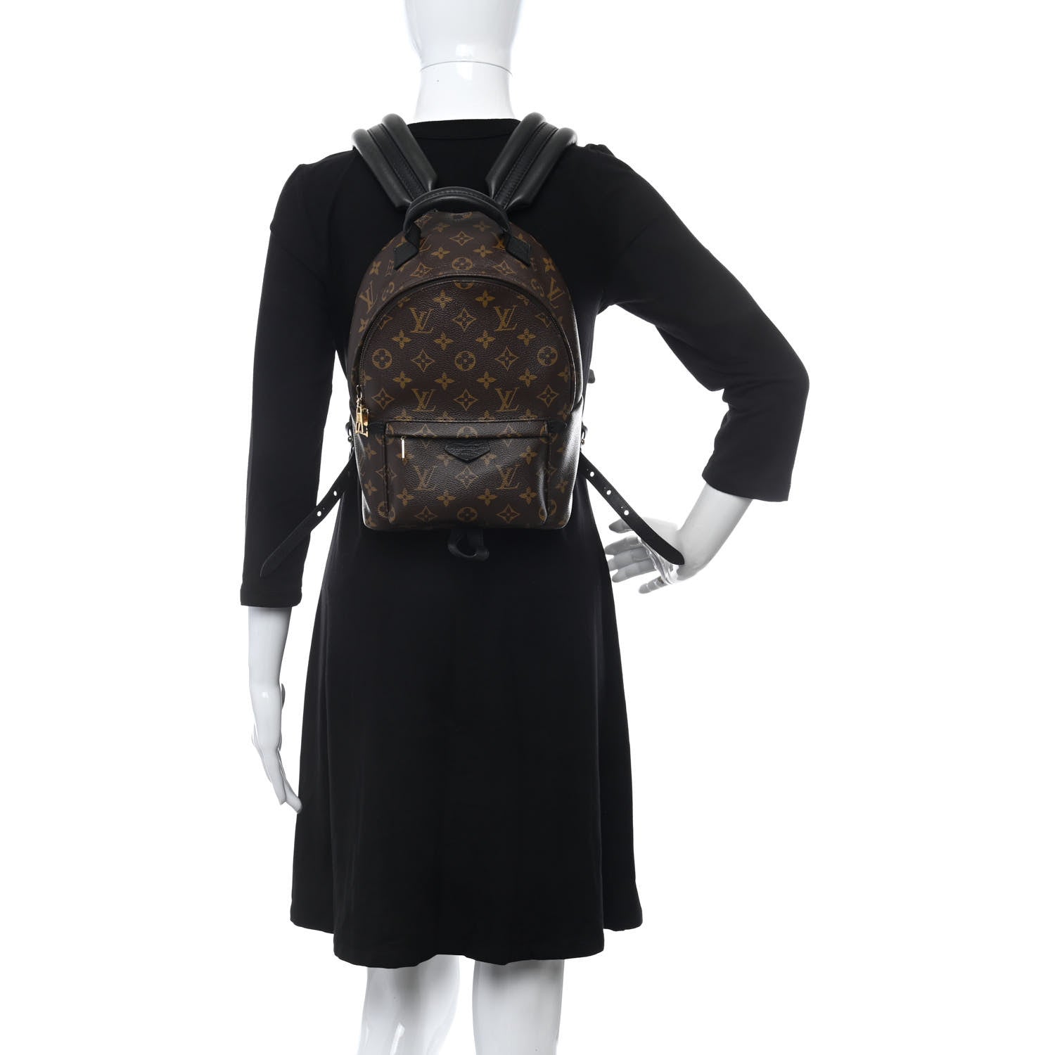 Louis Vuitton Monogram Palm Springs Backpack PM 2 of 10