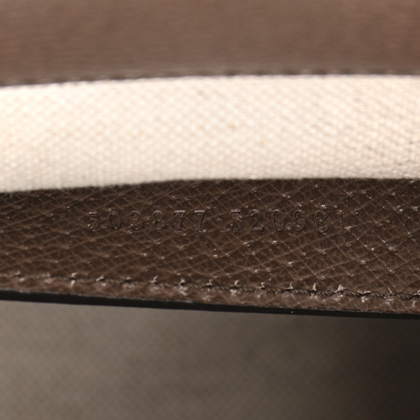 Monogram Jumbo GG Textured Dollar Calfskin Web Small Ophidia Chain Shoulder Bag Camel Ebony New Acero