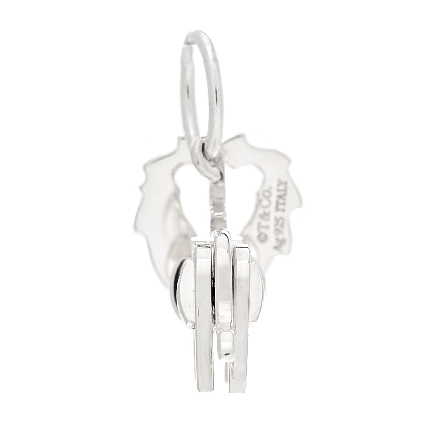 Sterling Silver Save The Wild Lion Charm