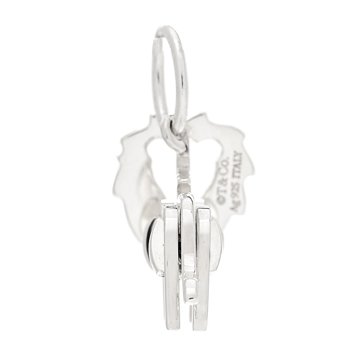 Tiffany Sterling Silver Save The Wild Lion Charm 5 of 7