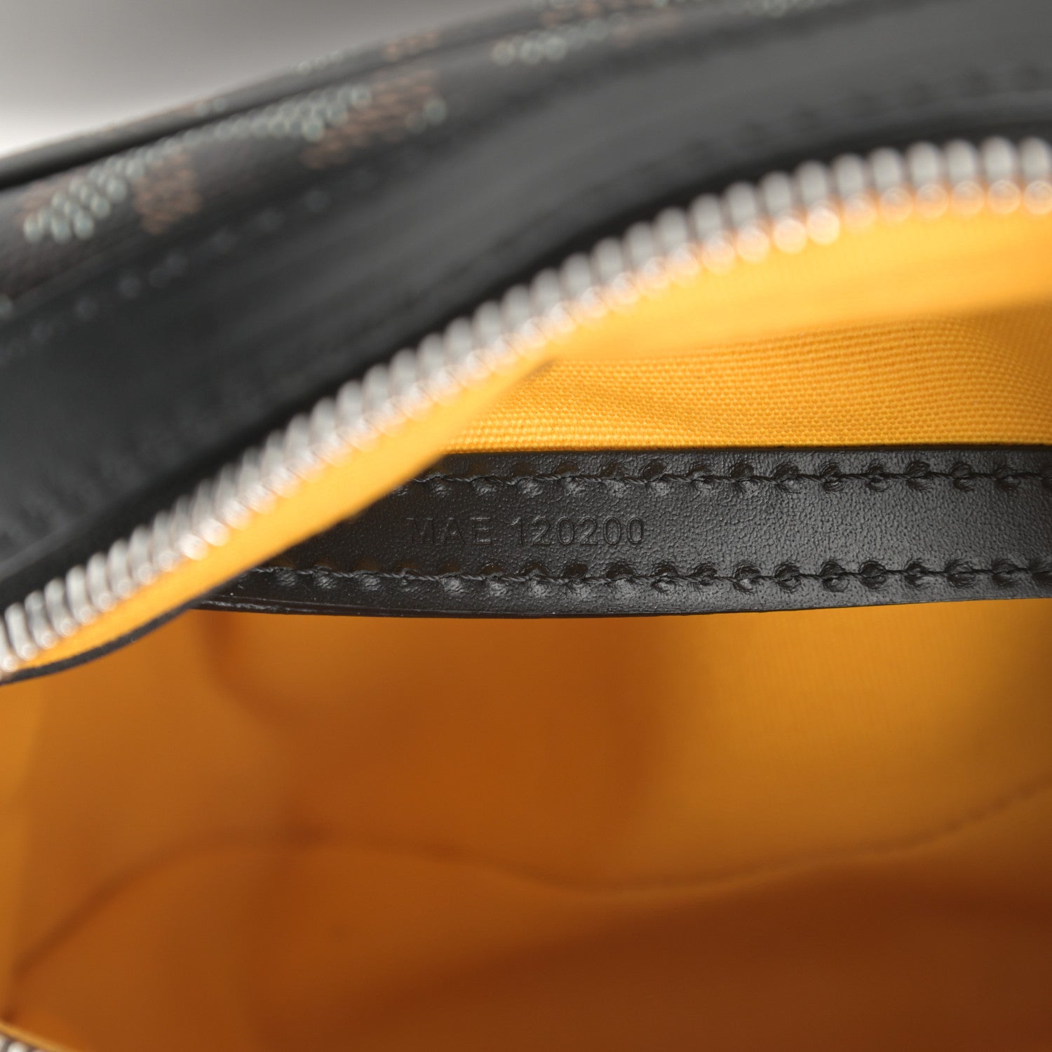 Goyard Goyardine Sac Cap Vert Black 7 of 10