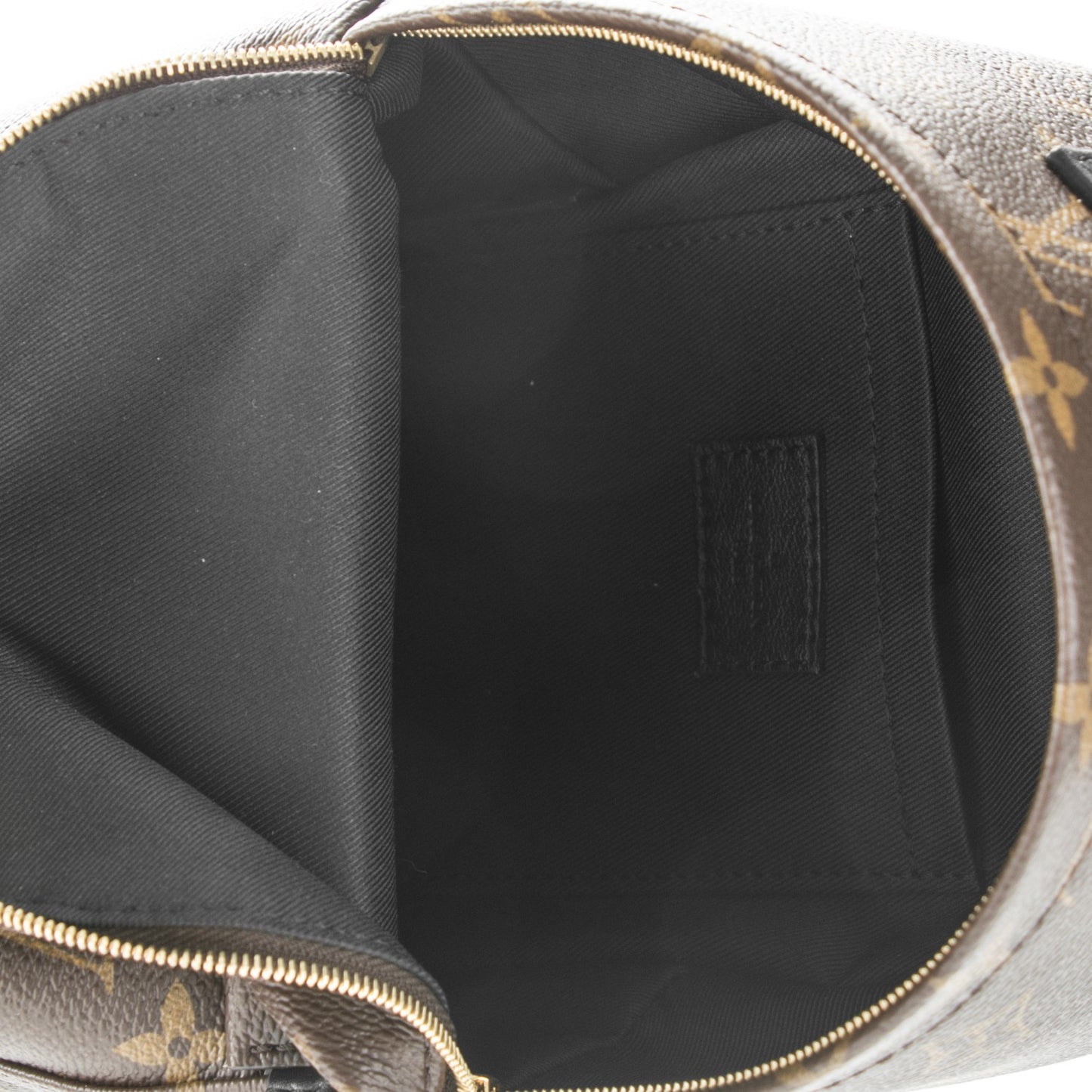 Monogram Palm Springs Backpack Mini