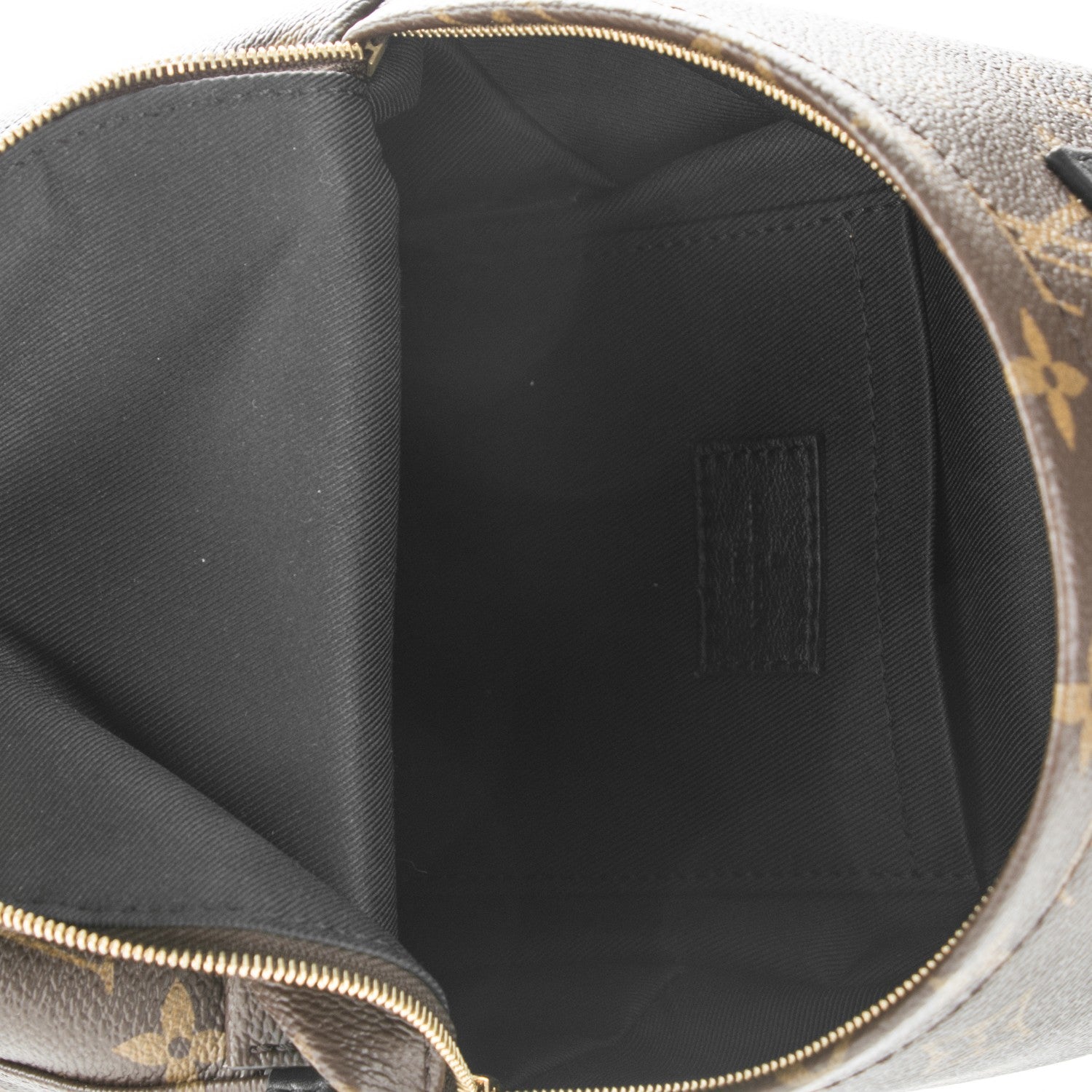 Louis Vuitton Monogram Palm Springs Backpack Mini 5 of 8