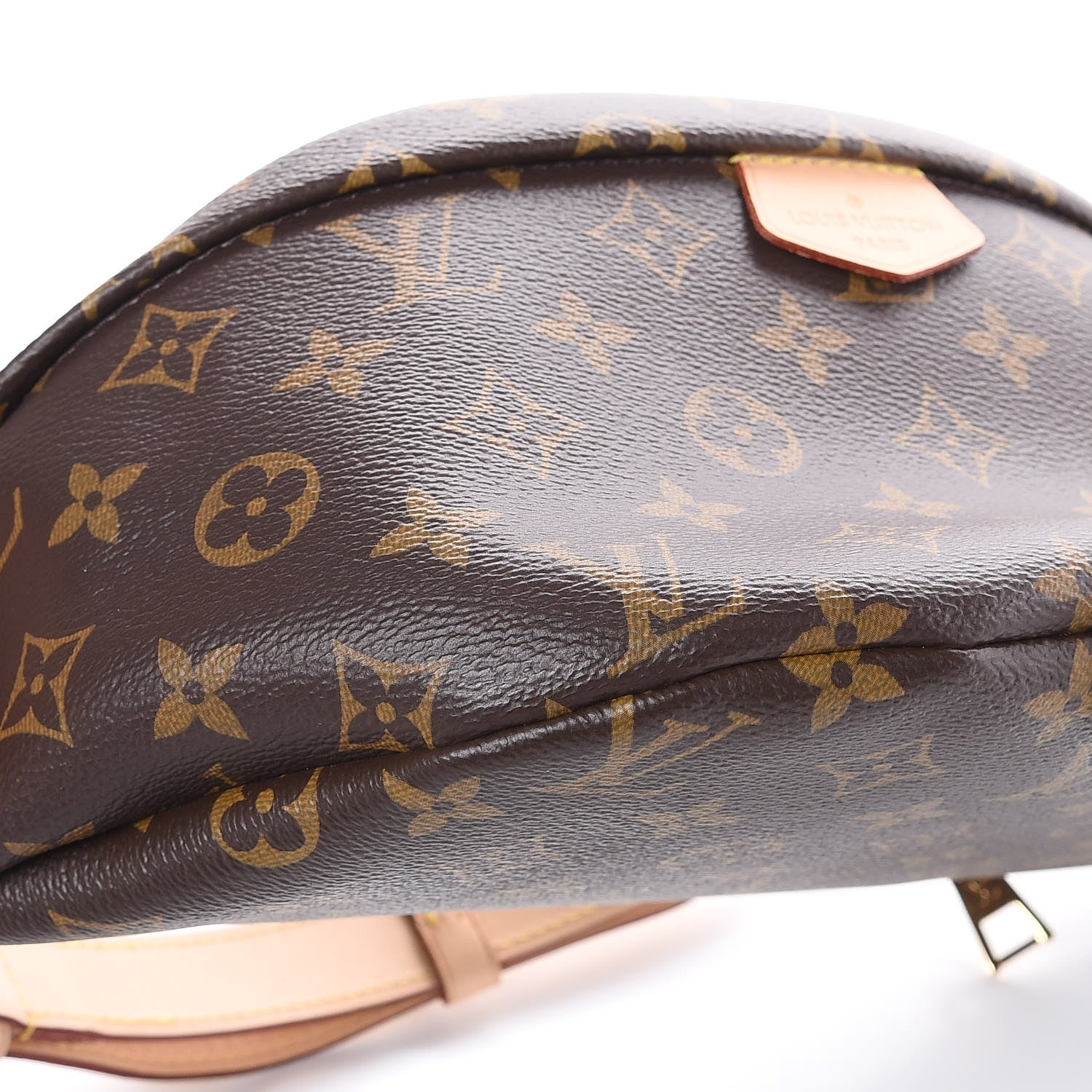 Louis Vuitton Monogram Bumbag 5 of 8