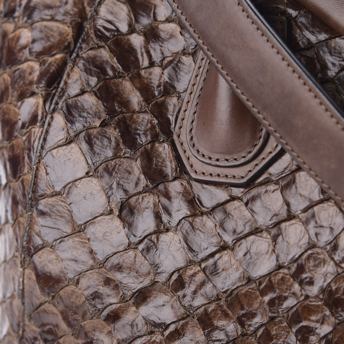 Calfskin Pirarucu Medium Antigona Brown