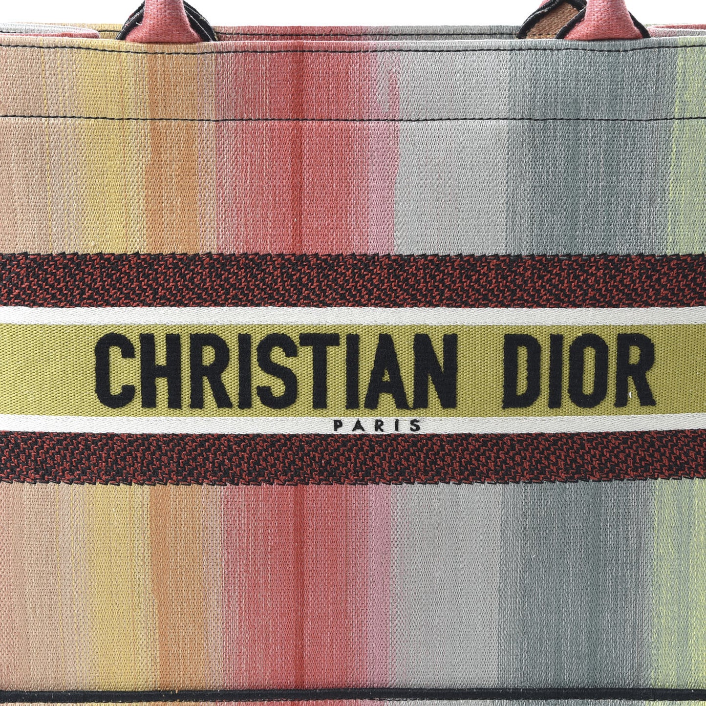 Canvas Embroidered Medium Dioraura Book Tote Multicolor
