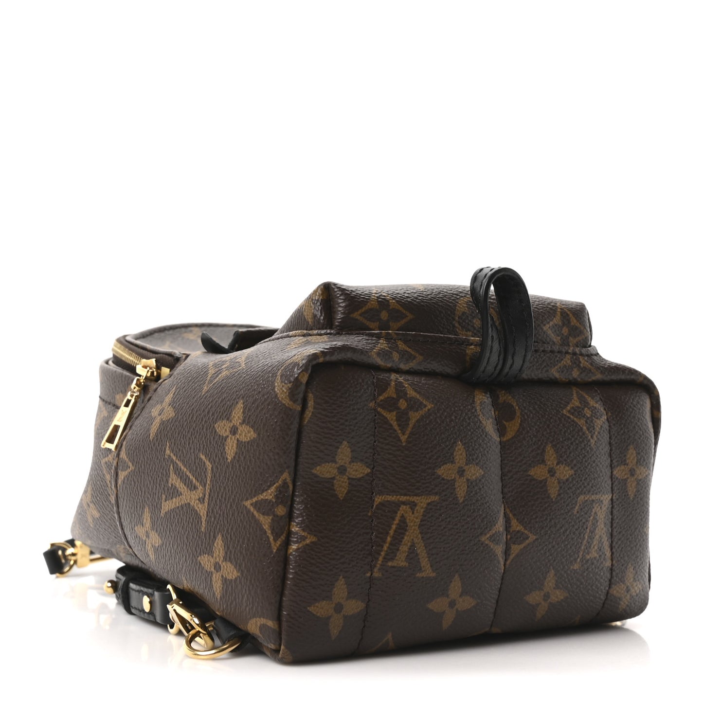 Monogram Palm Springs Backpack Mini