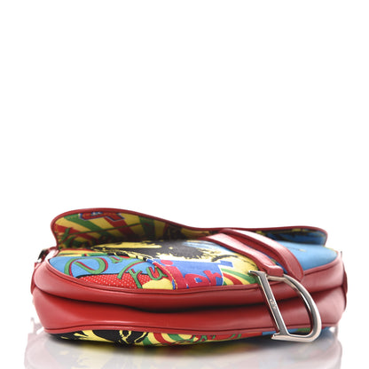 Christian Dior Canvas Bob Marley Saddle Bag Multicolor 4 of 12