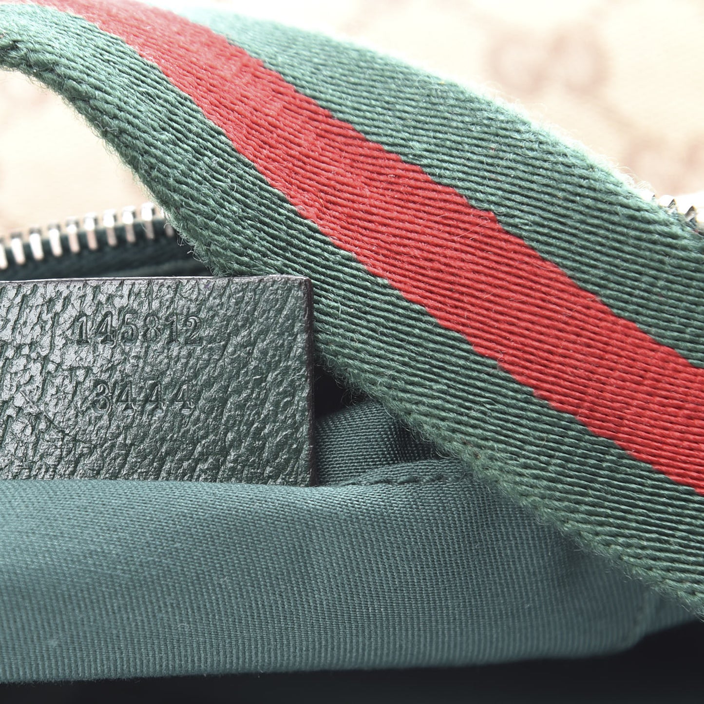 Monogram Medium Pop Hobo Green