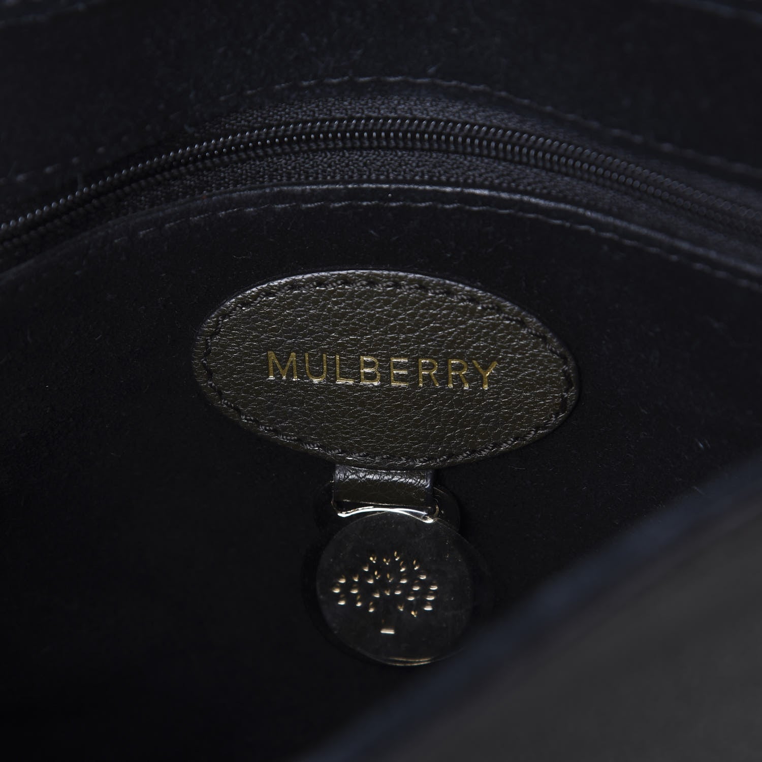 Mulberry Glossy Goatskin Small Lily Flap Green 5 of 9