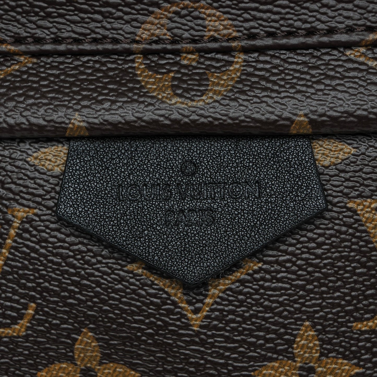 Monogram Palm Springs Backpack MM