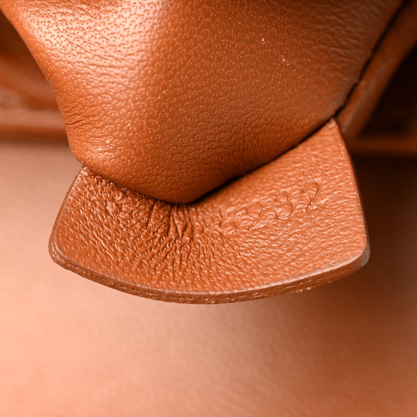 Calfskin Triomphe Canvas Teen Triomphe Bag Tan