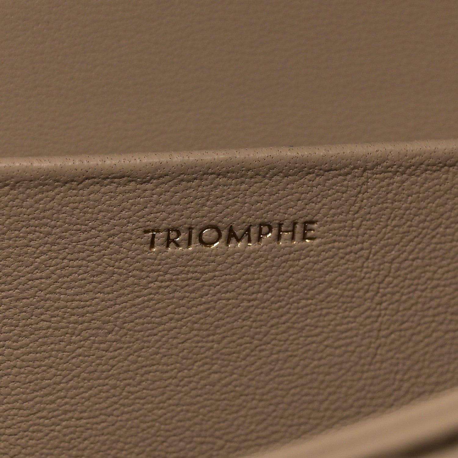 Celine Shiny Calfskin Medium Triomphe Nude 7 of 15