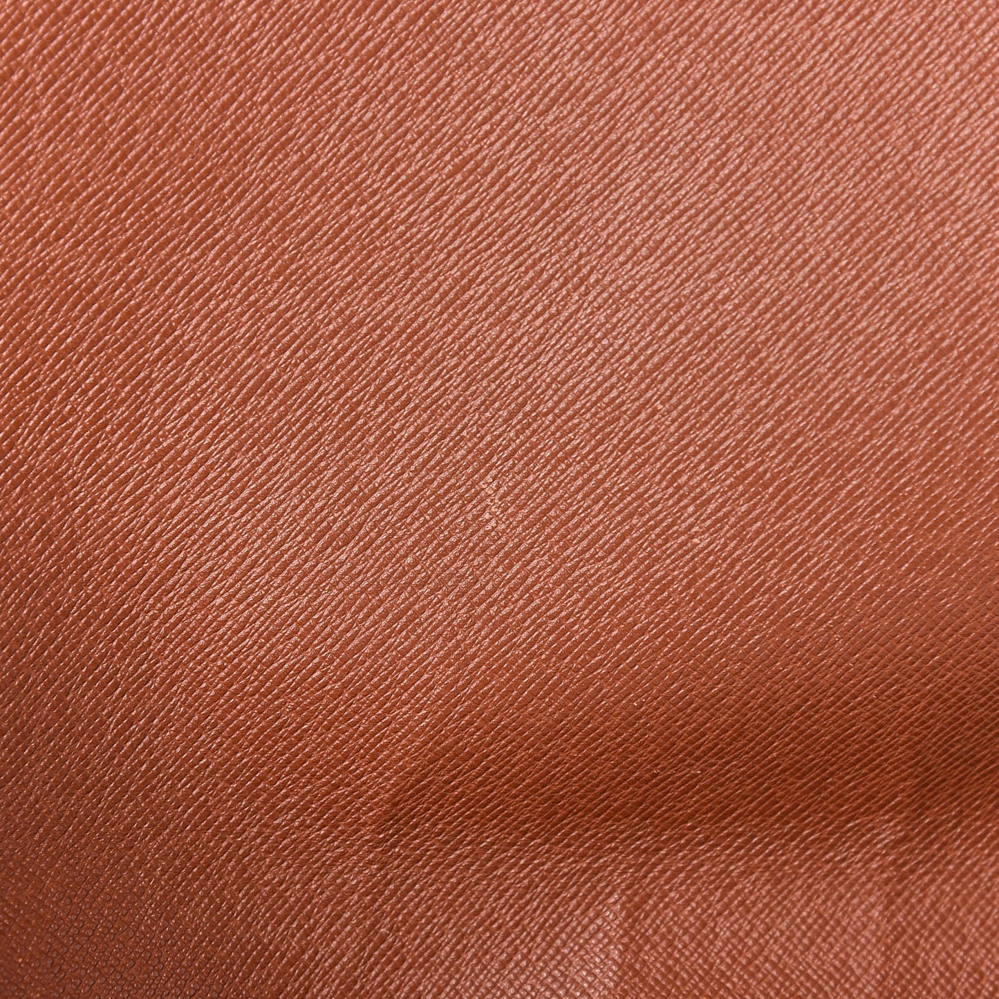 Monogram Musette Tango