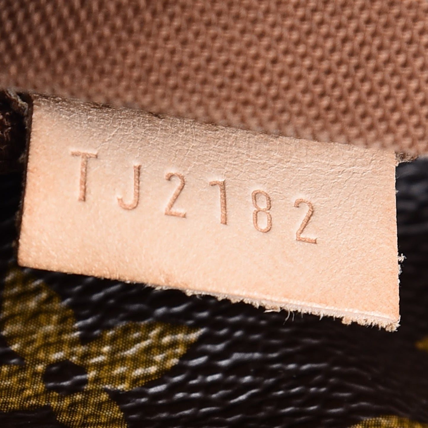 Monogram Sully MM
