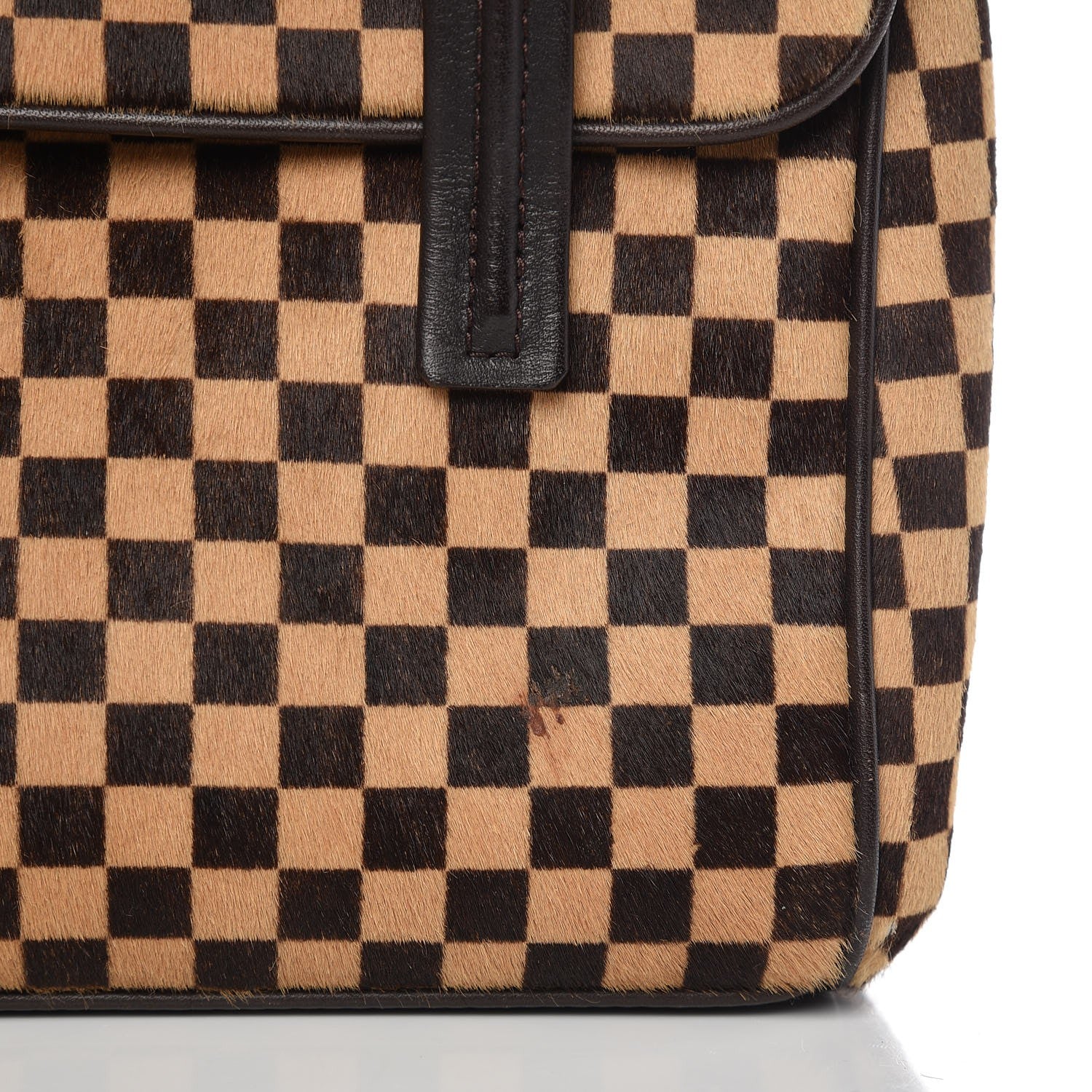 Louis Vuitton Damier Calf Hair Sauvage Lionne 12 of 13
