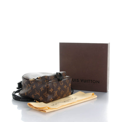 Louis Vuitton Monogram Palm Springs Backpack Mini 4 of 7