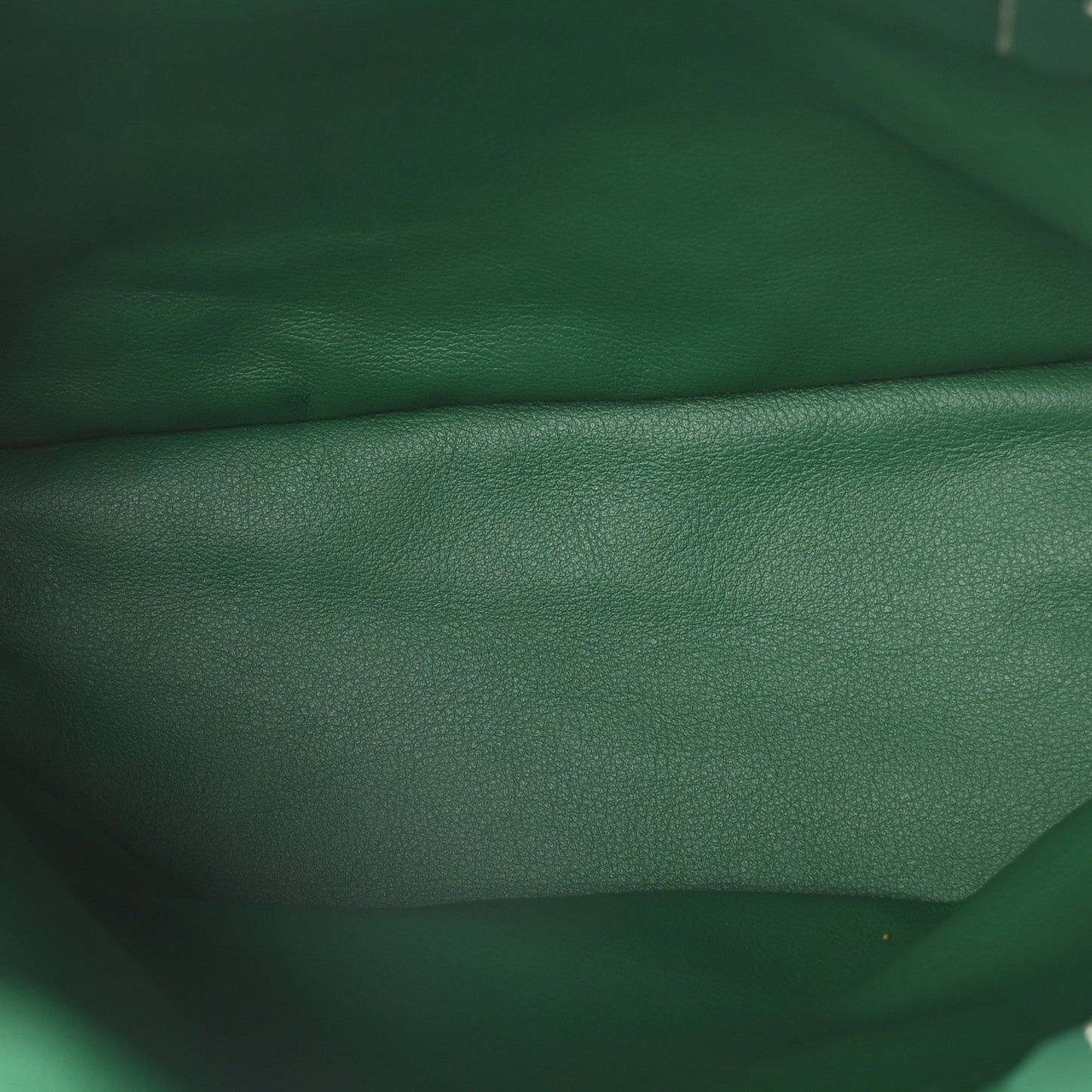 Goyardine Reversible Mini Anjou Green