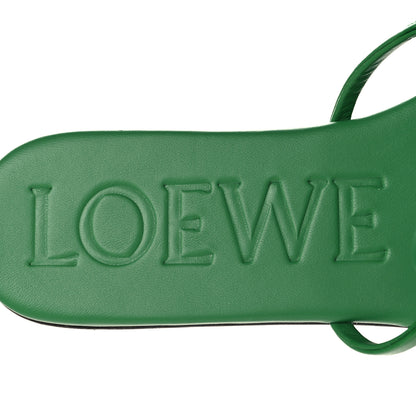 Loewe Paula's Ibiza Calfskin Petal Anagram Caged Slide Sandals 38 Green 8 of 8