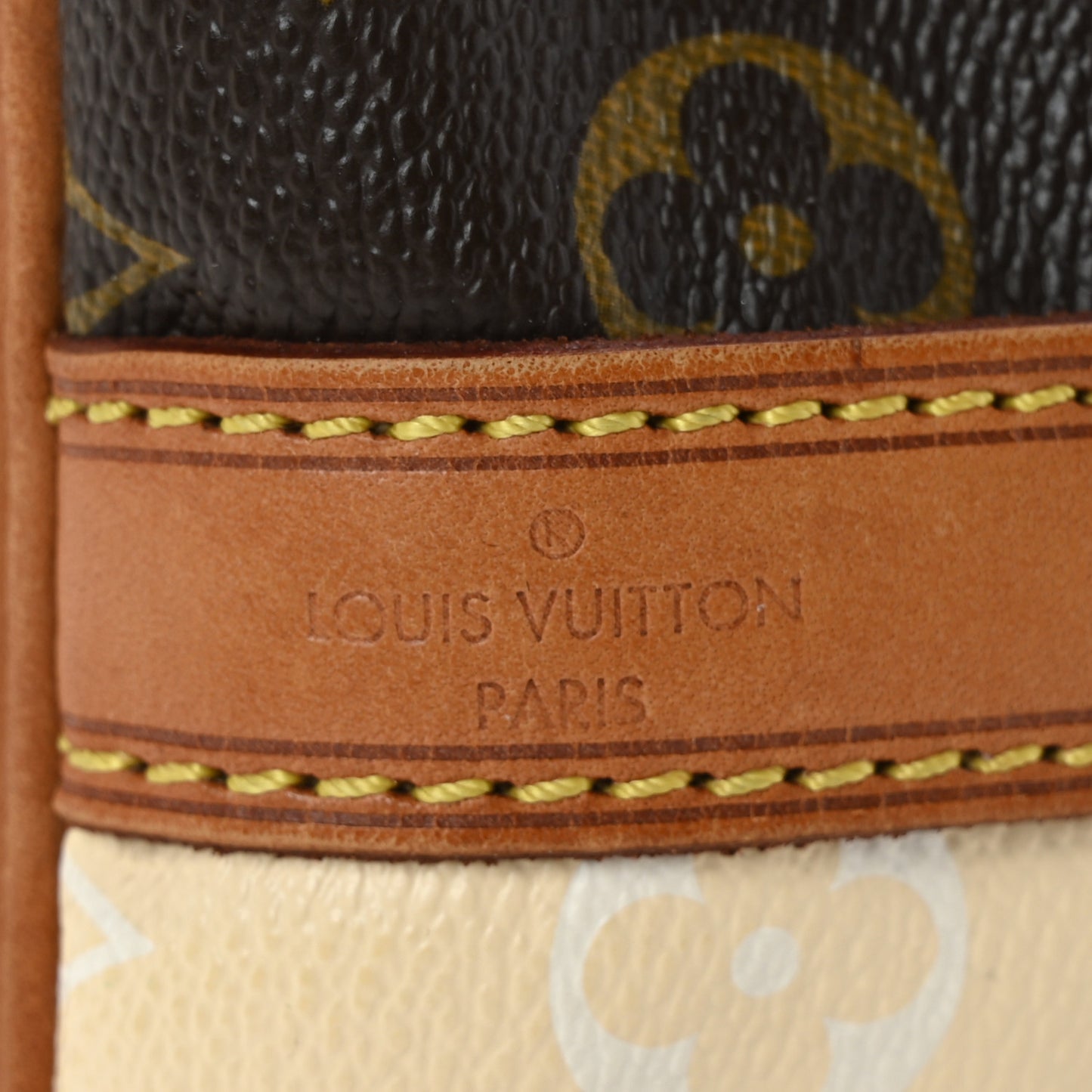 Monogram Rayures Petit Noe