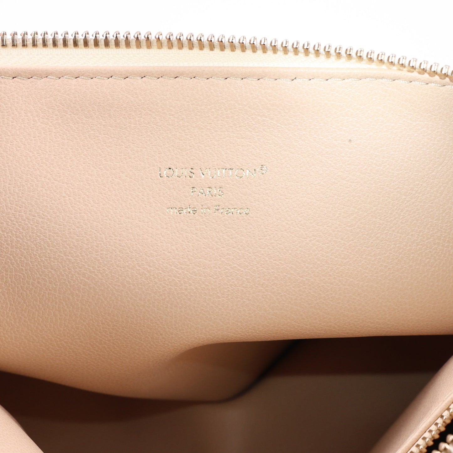 Lambskin Embossed Monogram Coussin PM Dream