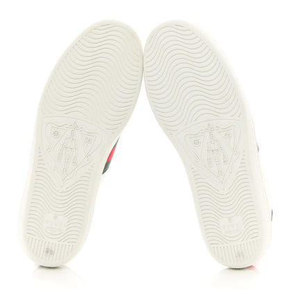 Gucci Calfskin Ayers Bee Embroidered Womens Ace Sneakers 36.5 White Green 5 of 12