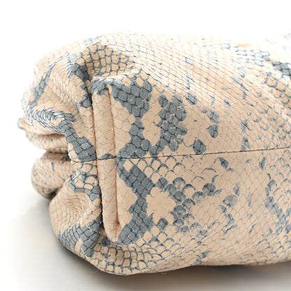 Bottega Veneta Goatskin Python Embossed Teen Pouch Cantaloupe 8 of 9