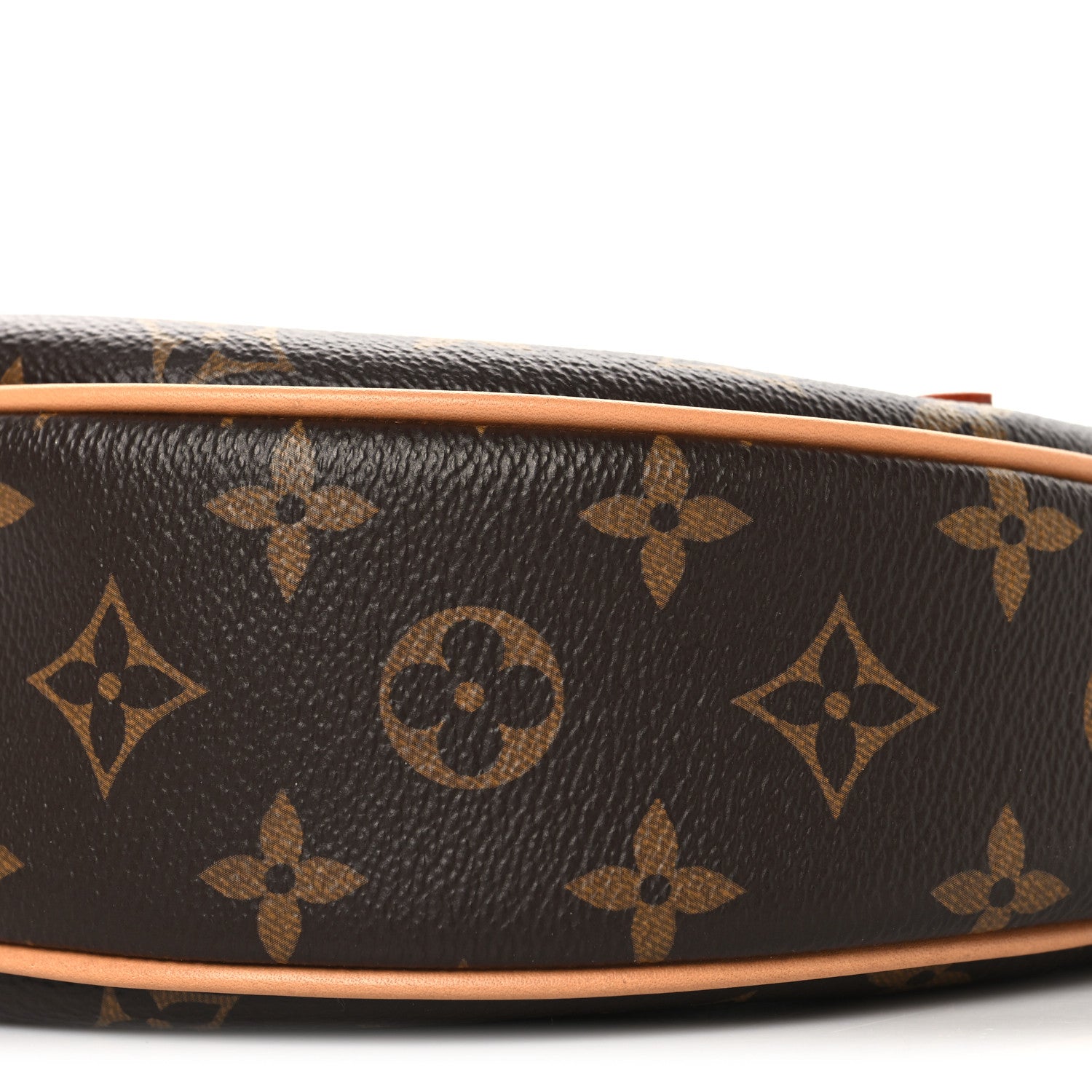 Louis Vuitton Monogram Loop 9 of 9