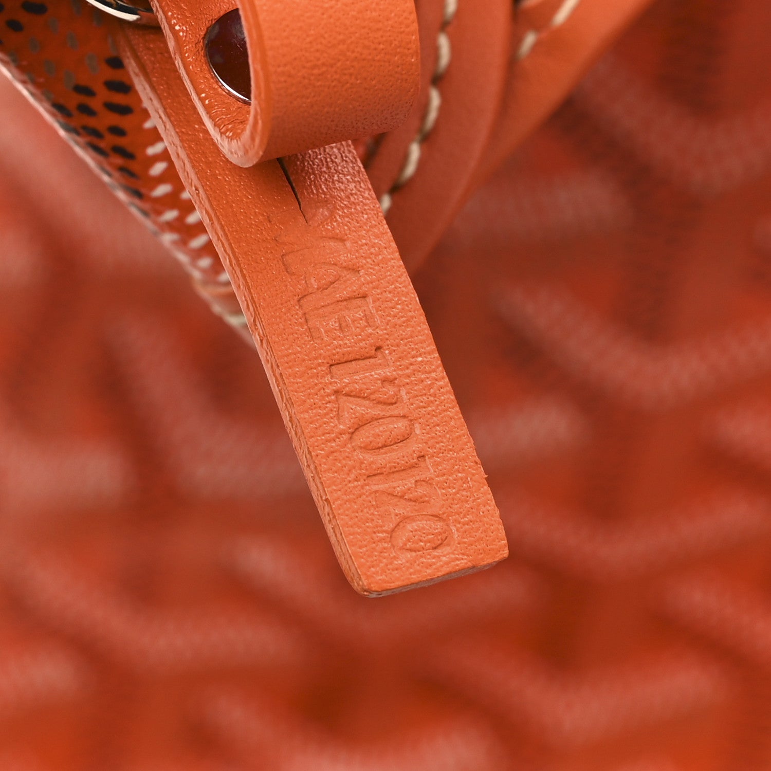 Goyard Goyardine Saint Louis PM Orange 7 of 10