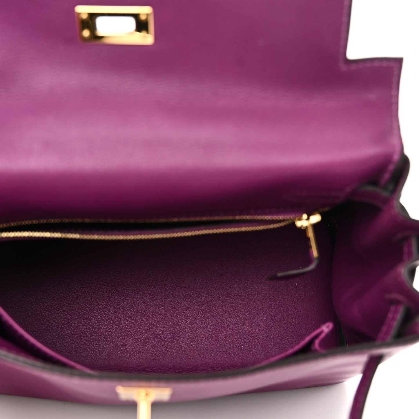 Swift Kelly Retourne 25 Anemone