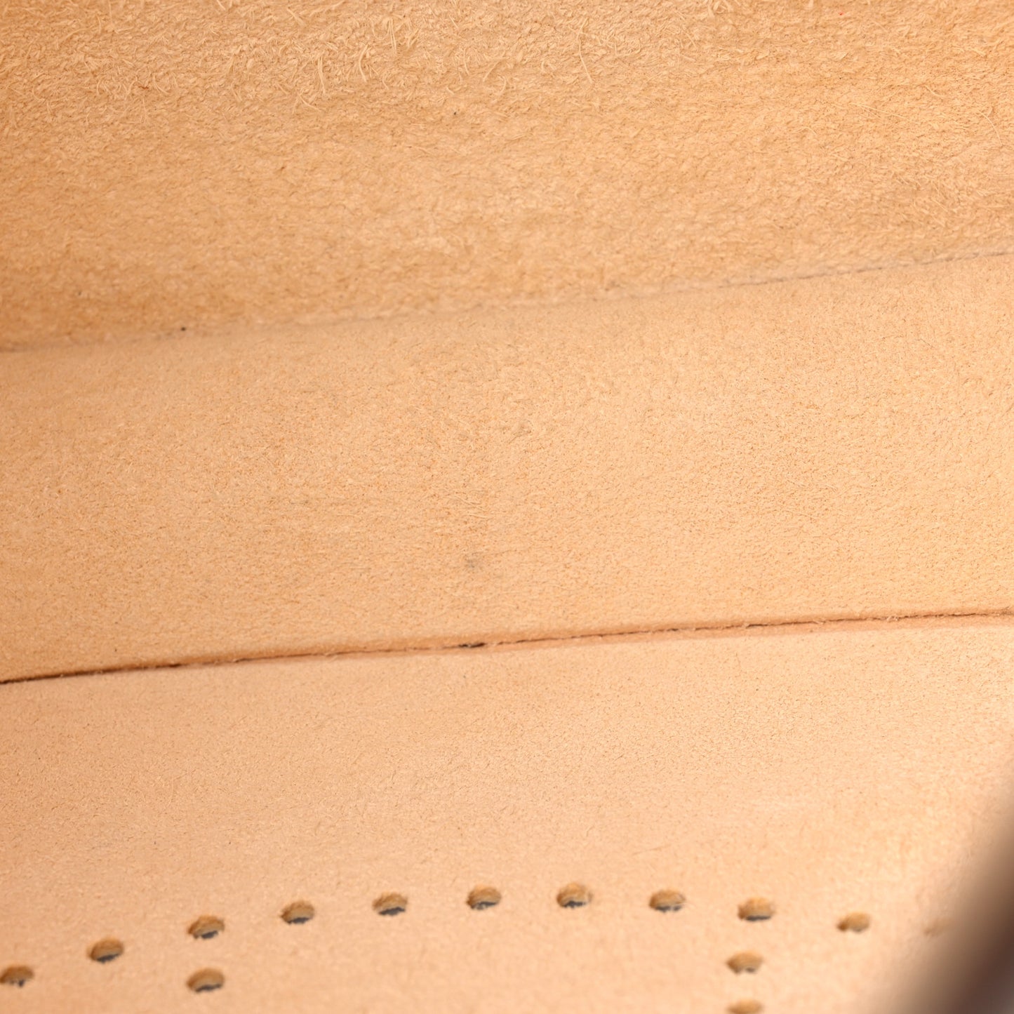 Taurillon Clemence Evelyne III PM Nata