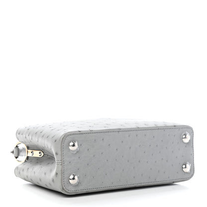 Louis Vuitton Ostrich Capucines BB Gris 4 of 10
