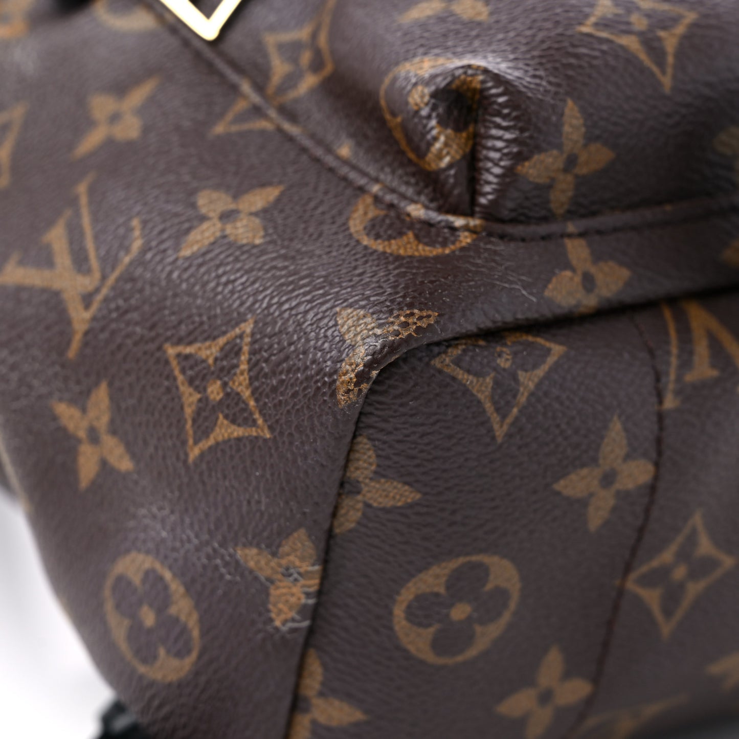Monogram Palm Springs Backpack PM