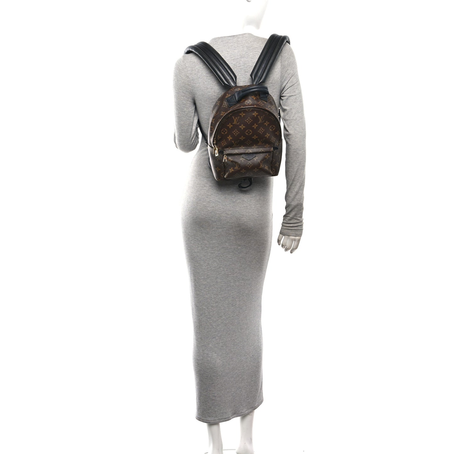 Monogram Palm Springs Backpack Mini
