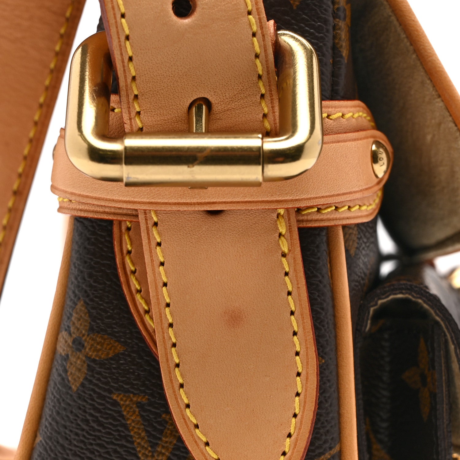 Louis Vuitton Monogram Hudson PM 12 of 13