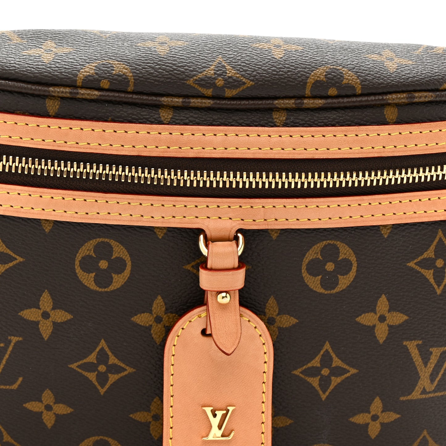 Monogram High Rise Bumbag