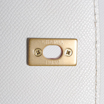 Chanel Caviar Tortoise CC Backpack White 6 of 9
