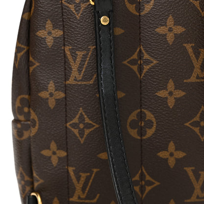 Louis Vuitton Monogram Palm Springs Backpack Mini 21 of 22