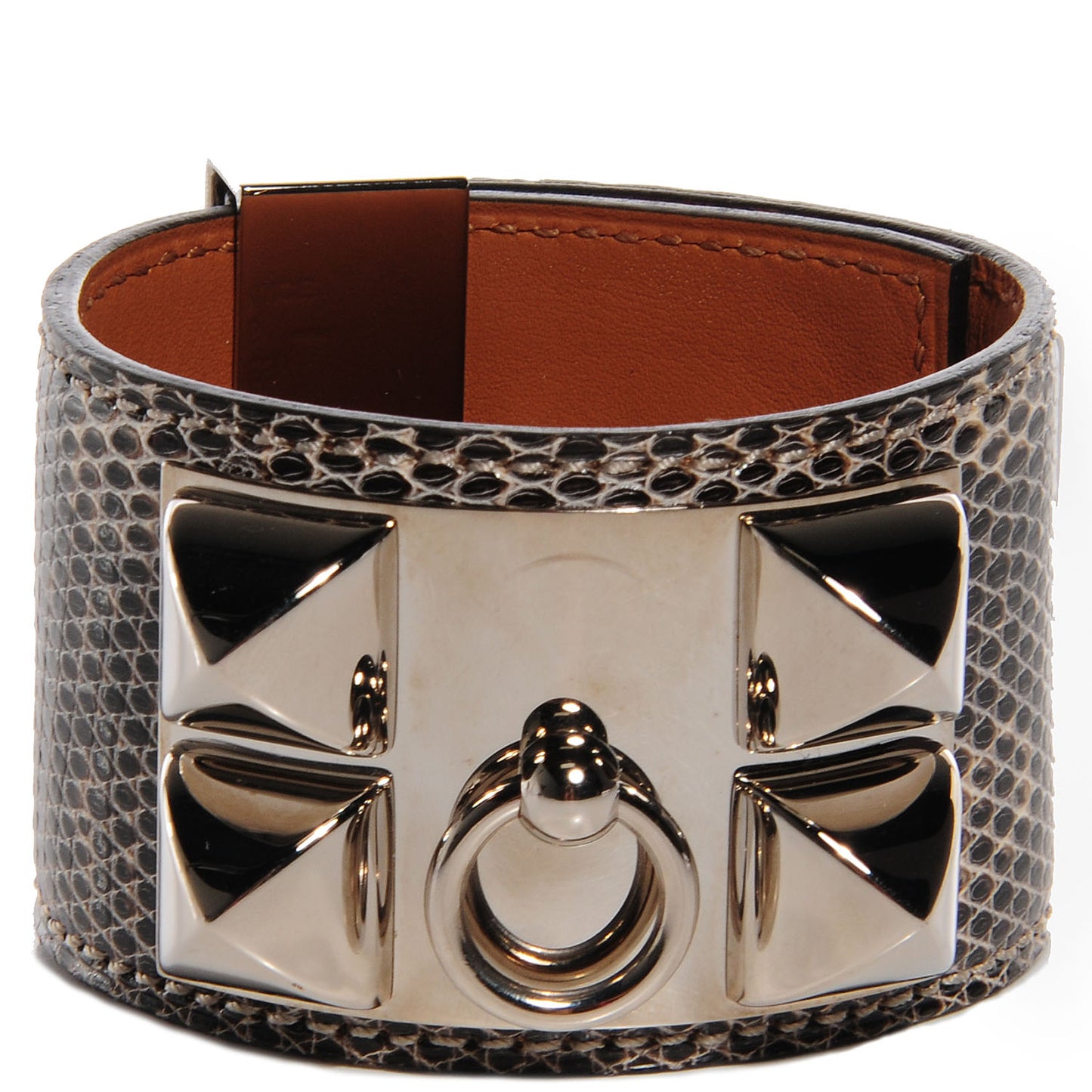 Lizard Collier de Chien CDC Bracelet Ombre