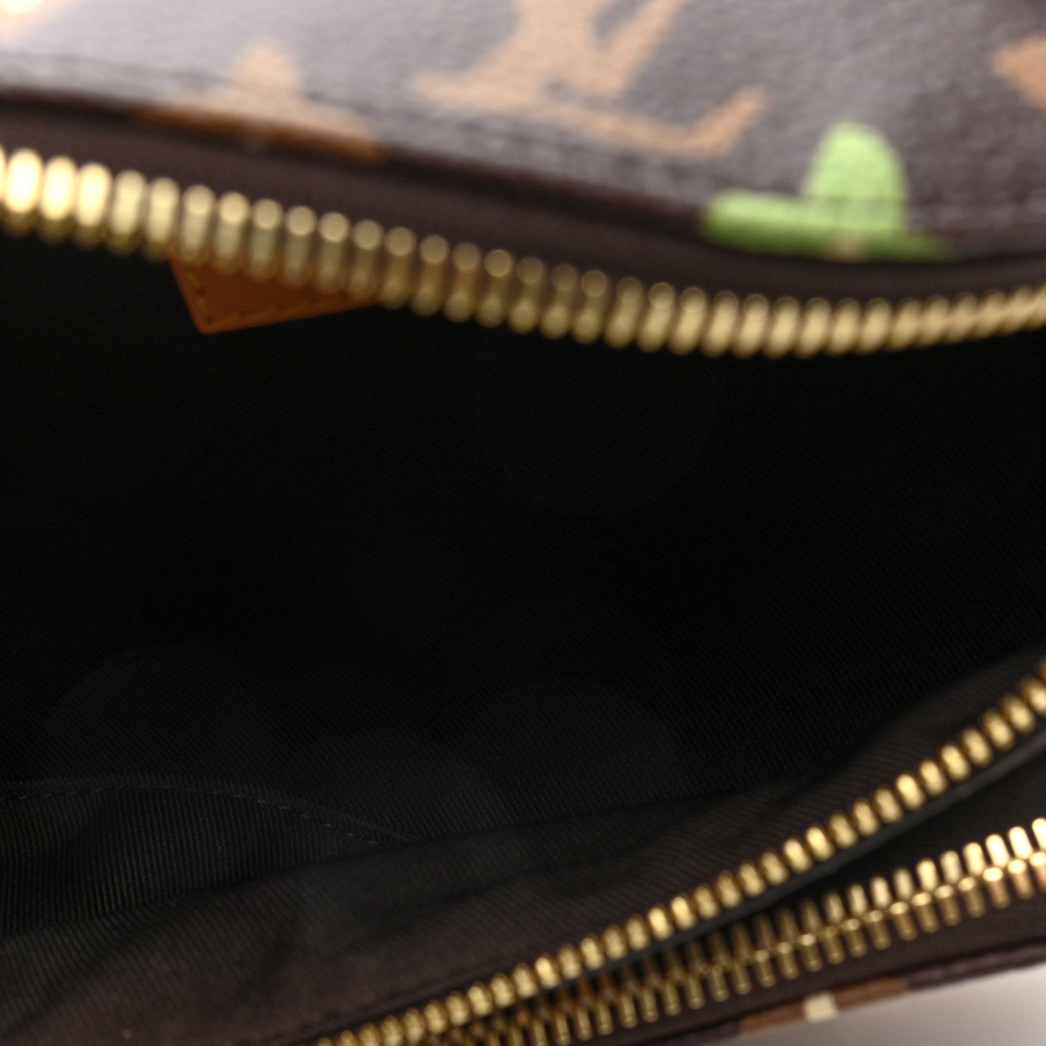 Louis Vuitton X TYLER THE CREATOR Monogram Craggy Rush Bumbag 4 of 8